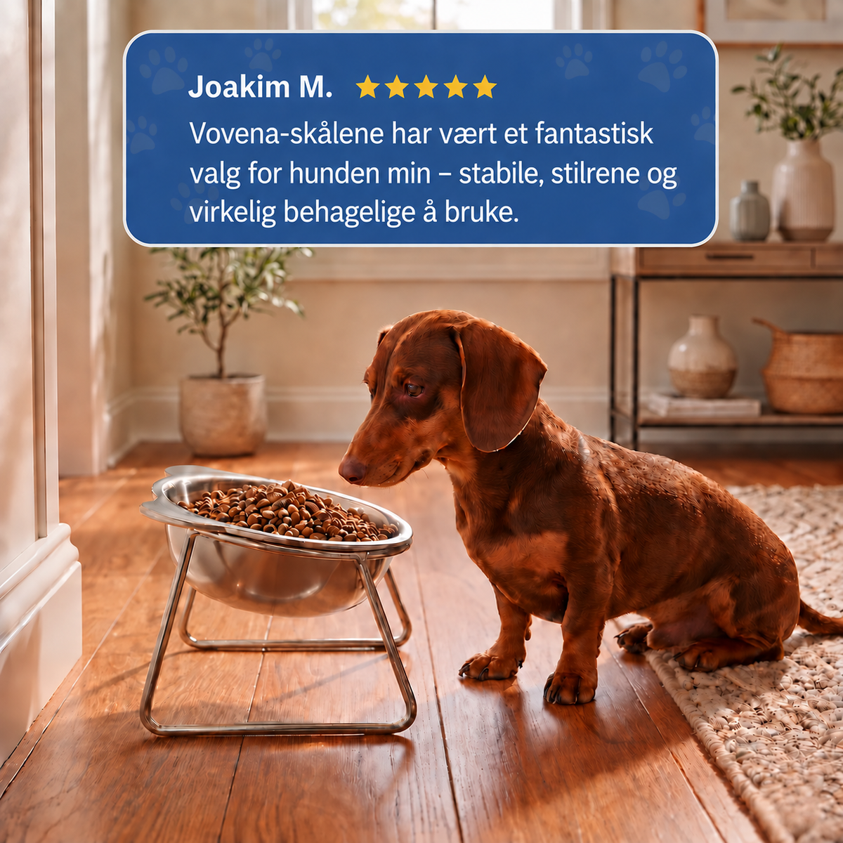 Vovena™ Ergonomisk 15° Matskål